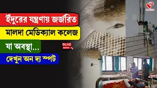 Malda Medical College | ইঁদুরের যন্ত্রণায় জর্জরিত মালদা মেডিক্যাল কলেজ, যা অবস্থা...