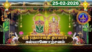 Sri Padmavathi Ammavari || Kalyanotsavam || Tiruchanoor || 25-02-2026 || SVBC2 Tamil || SVBC TTD