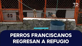Over 150 dogs return to the Franciscan Shelter after eight-month legal battle