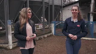 Water Quality is Essential for Swine Performance | Interligados