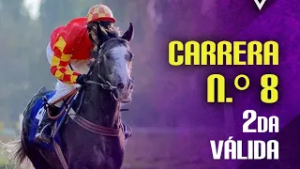 8VA CARRERA - CLUB HIPICO - HIPÓDROMO LA RINCONADA 01 DE MARZO 2026 - 2DA VALIDA
