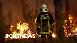 American family trapped in France as wildfires rage on in Western Europe