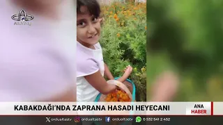 Ordu Altaş TV Main News | September 26, 2026
