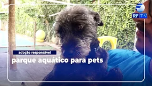 Parque Aquático adota pets em feira de adoção