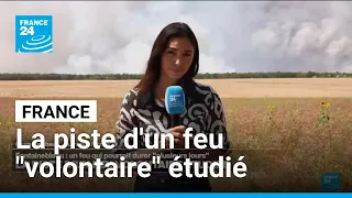 France : l'incendie dans la forêt de Fontainebleau pourrait durer "plusieurs jours" • FRANCE 24