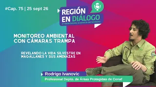 Region in Dialogue: Revealing Wildlife