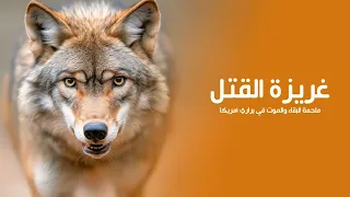 غريزة القتل : ملحمة البقاء والموت في براري أمريكا حيث لا مكان للضعفاء | كويست عربية