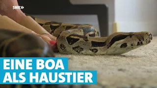 Seit 19 Jahren unzertrennlich: Boa Kaa und Herrchen Andreas