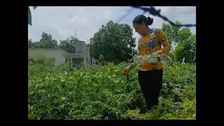 A woman who makes the most of every inch of soil