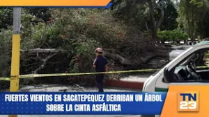 Fuertes vientos en Sacatepequez derriban un árbol sobre la cinta asfáltica