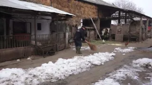 Ima 4 krave i 73 godine – da li može da se živi od mleka