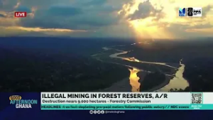 Illegal mining activities in forest reserves have now encroached on nearly 9,000 hectares