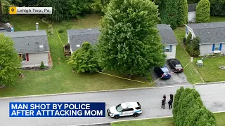 Man accused of attacking mother before being shot by police