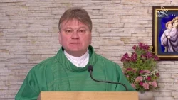 Homilie ze mše svaté 12.10.2026, P. Jan Mazur