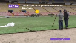 Bogotá City Council held a follow-up meeting on the condition of the El Campín pitch | News