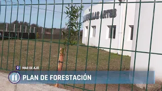 Afforestation Plan 🌱🌳