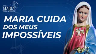 Maria Passa à Frente Novena | 07/23/26 | Father Rodolfo Camarotta