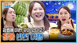 Soft... and squishy...🍌 They grow bananas in Jeongeup, Jeonbuk?! | Nemo Semo EP.37