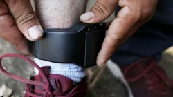 Chicago-area lawmaker calls for electronic monitoring reform after CTA worker's killing