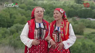 ЖФГ "Детелини", с. Бачево - "Разви се гора зелена"