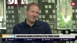 Gruvaktien handelsstoppad efter fängelsedom: "Otroliga arvoden"