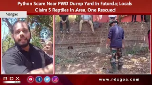 Python Scare Near PWD Dump Yard In Fatorda; Locals Claim 5 Reptiles In Area, One Rescued