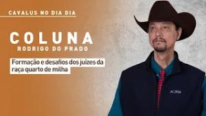 Cavalus no Dia Dia: formação e desafios dos juízes da raça quarto de milha