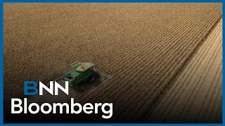 The next steps for Canada's agriculture sector