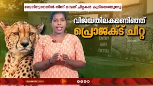 Project Cheetah ചീറ്റിയോ?? നുണ കൊട്ടിഘോഷിച്ചവരുടെ വായടപ്പിച്ച് ഭാരതമണ്ണിലെ ചീറ്റപ്പുലികൾ | EXPLAINER