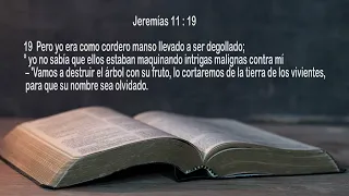 ARREPENTIMEINTO MUNDIAL PROGRAMA 3