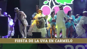 FIESTA DE LA UVA Noticias Canal 4 DLF
