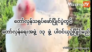တော်လှန်သရုပ်ဖော်ပြိုင်ပွဲတွင်  တော်လှန်ရေးအဖွဲ့ ၁၃ ဖွဲ့ ပါဝင်ယှဥ်ပြိုင်မည်