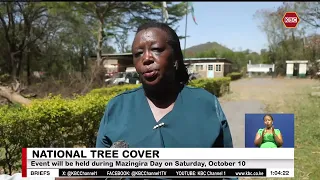 Homa Bay residents target to plant 92,000 trees in 60 minutes on Mazingira Day