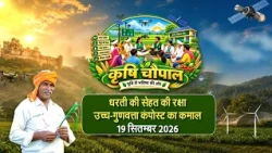 FAZILKA