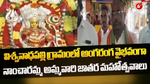 ? Grand Celebration in Vishwanadhapalli! Addanki Nancharamma Amma Jatara Festival ?? | @6TV
