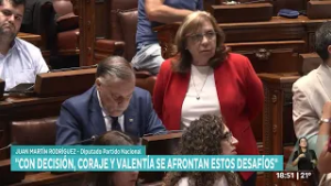 El Parlamento aprobó el Acuerdo Interino de Comercio Mercosur-Unión Europea