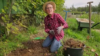 Planting a WILD FLOWER BORDER | "Gabi's Garden" with Gabi Pratz