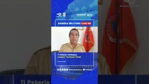 11 Pekerja Tertimbun Longsor Tambang Timah