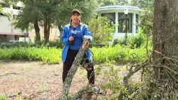 Mobile turns to cleanup after Isaias downed trees, knocked out power