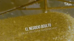 The hidden business of wood shavings today - TvAgro by Juan Gonzalo Angel