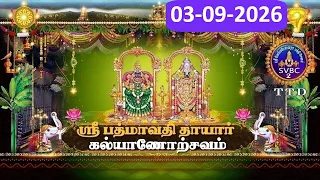 Sri Padmavathi Ammavari || Kalyanotsavam || Tiruchanoor || 03-09-2026 || SVBC2 Tamil || SVBC TTD