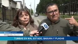Pet cemetery in San Pedro de la Paz causes stench and pest infestations due to unregulated burials