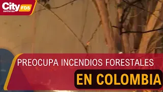 Wildfires keep Colombia on alert: Tolima has eight active hotspots | CityTv