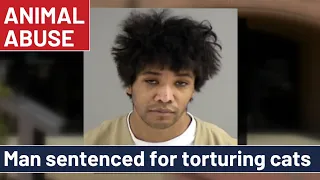 Man receives longest sentence ever for animal abuse in Virginia’s history