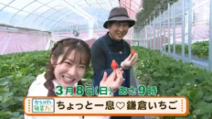 かながわ旬菜ナビ　次回予告（3月8放送）