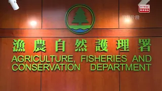 元朗大狗襲擊小狗案　狗主獲准保釋10月再訊