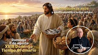 Jesus' Compassion and Our Attention to Those Who Suffer