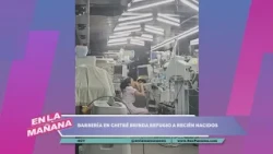 Barbershop becomes a shelter for newborns | Olga Tañón sings without her band due to the earthquake