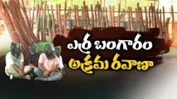 కాఫీ పొడి అట్టపెట్టెల మాటున ఎర్రచందనం స్మగ్లింగ్..  పోలీసుల మెరుపు దాడి || Neralu Ghoralu