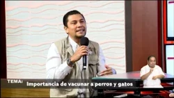 Importancia de vacunar a perros y gatos | Entrevista con el Dr. Antonio Contreras Domínguez